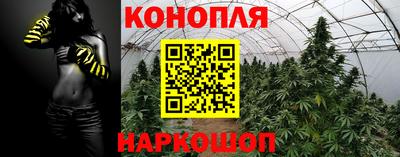 ПСИЛОЦИБИНОВЫЕ ГРИБЫ Заволжье